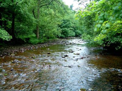 River Tawe at Craig-y-Nos