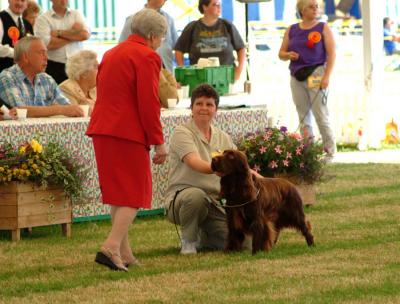 Bradley at SWKA 2003