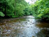 River Tawe at Craig-y-Nos