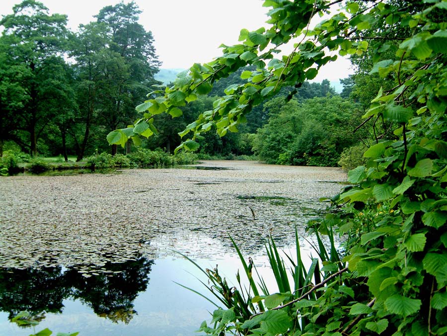Lake, Craig-y-Nos