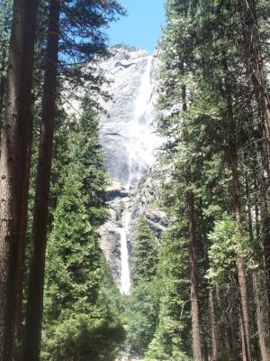 Yosemite Falls1.jpg
