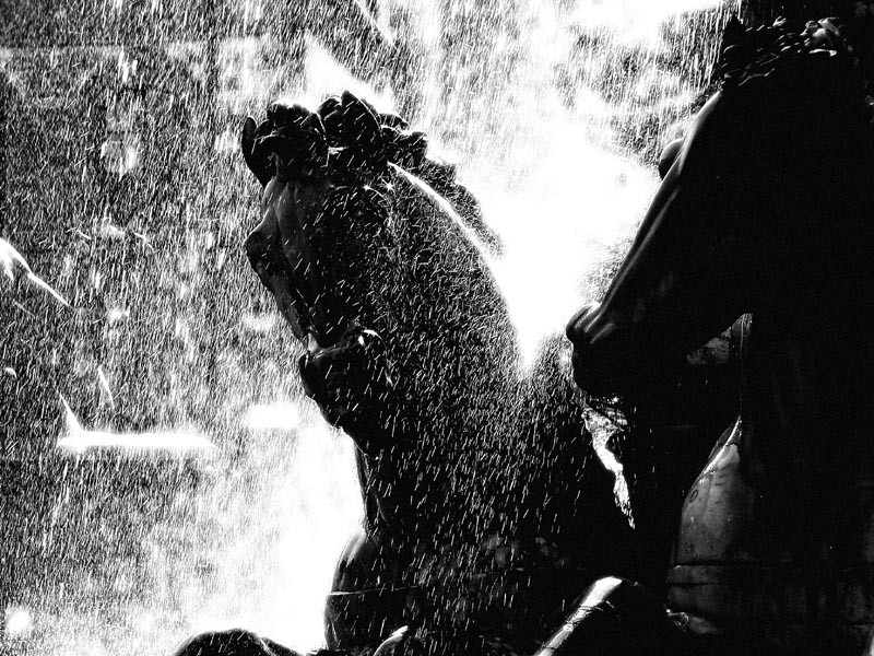 29/04/05 - Cheval fou