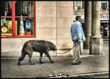 LargeDog