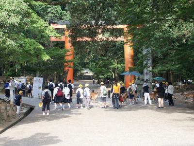 Jpn2003197.JPG