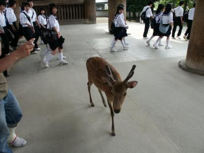 Jpn2003199.JPG