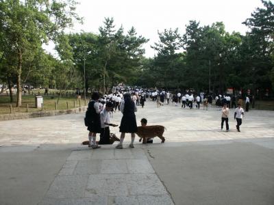 Jpn2003200.JPG