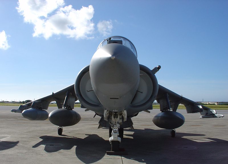 Harrier