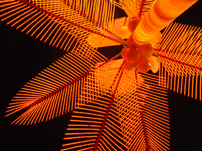 Neon Palm at Night