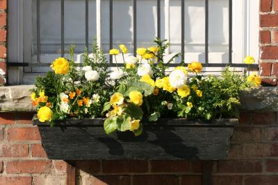 Flower Box