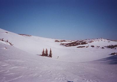 plateaurolls