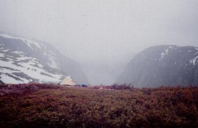 middlegulchamfog