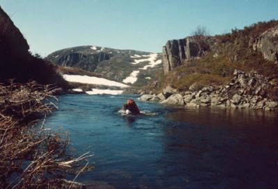 coldcrossing