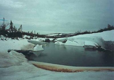 Newfoundland  1982