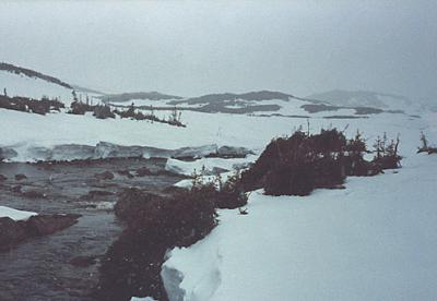 deerbrookonplateau