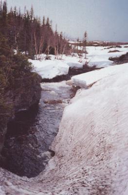 snowbridge