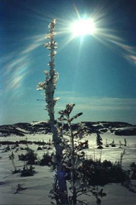 sunburst