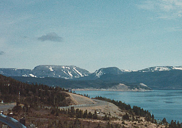 grosmorneandoldcrow