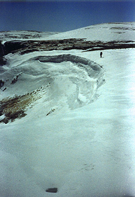 wbpcornice