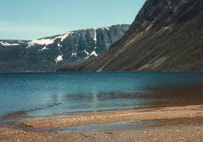 moosebrookbeach