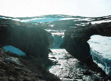 eastbrookcamp