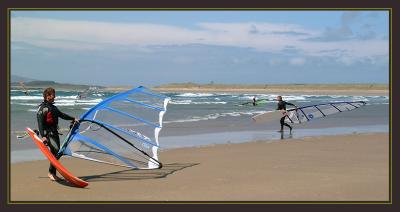 Windsurfers