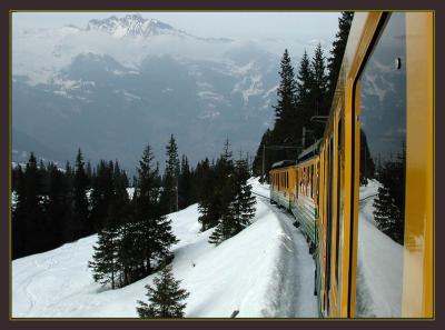 Grindelwald - Kleine Schedegg Mountain Train