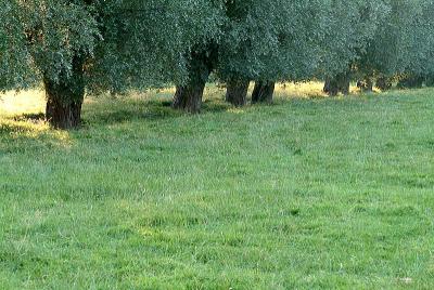 DSCF5227.jpg