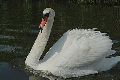 DSCF5135.jpg
