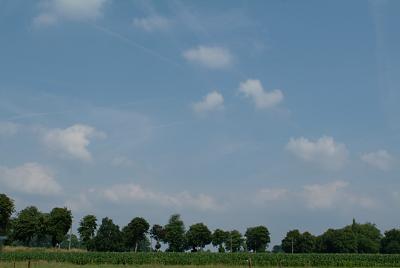 DSCF5105.jpg