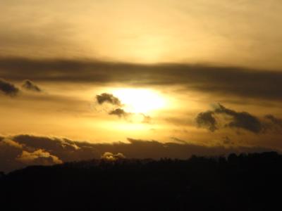 Sunset Over Dead Trees