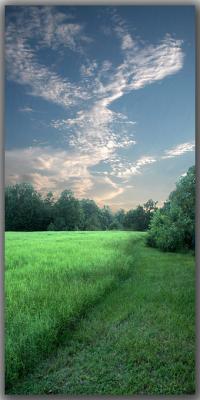 u30/jarrell/medium/18976920.SummerHayField.jpg