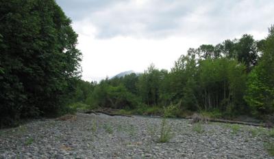 rock bed