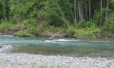 down by the river
