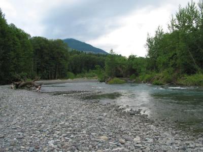 still by the river