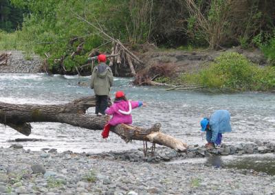 fallen tree by river.