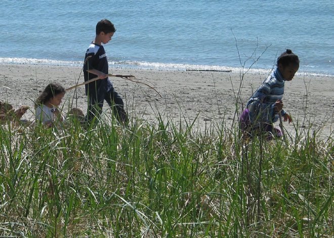 Discovery Park in Seattle, WA.