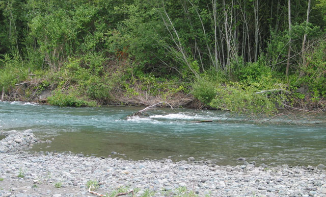 down by the river