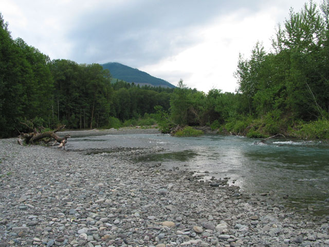 still by the river