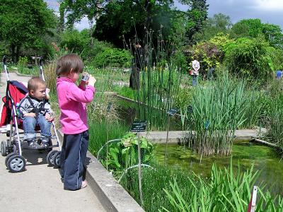 u30/jchriste/medium/42985111.botanicgarden05.jpg