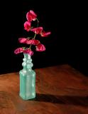 Blossoms in a Bottle