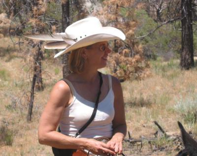 Fires in Baja June 2003