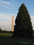 Monument & Christmas Tree