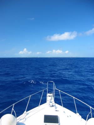 Returning to the island.