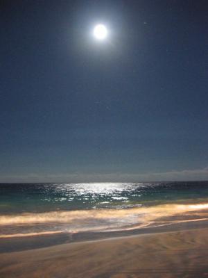 Moonlight over Elbow Beach.