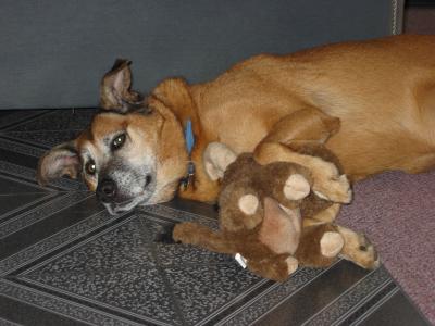 Patty and her moose.