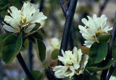 u30/jhiker/medium/18725198.IMG069.jpg