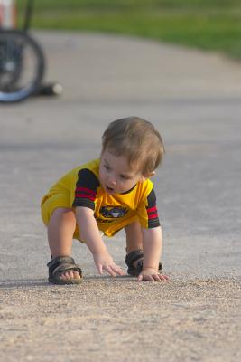 CRW_7793-1.jpg
