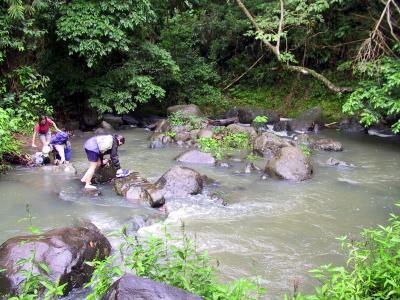 River Crossing 2