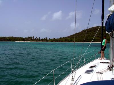 Judy Checking for Reefs