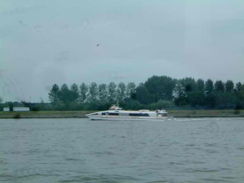 DSCF0800.jpg